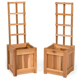 Set Of 2 Planter Box's With Trellis
