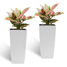 Pack of 2 Square Planter 22-Inch High Faux Rattan Design Flower Pot with Automatic Watering System for Porch, Patio, Backyard