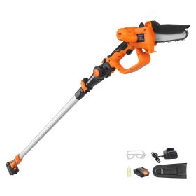 2-in-1 Cordless Pole Saw & Mini Chainsaw, 20V 2Ah Battery Pole Chainsaw