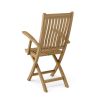 Folding Armchair (sell & price per 2 chairs only)